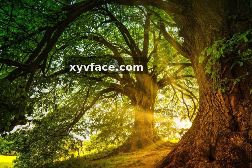 极速电竞 从青训营到首发席：一位辅助选手的三年升级路与团队信任课